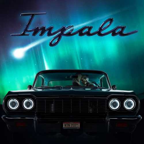 Natan - Impala Natan - Impala