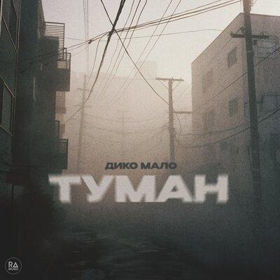 Дико мало - Туман Дико мало - Туман