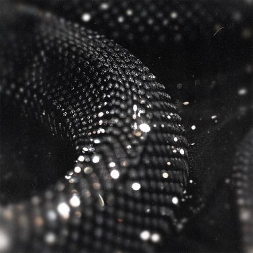 Kaii Raw - Блеск Kaii Raw - Блеск