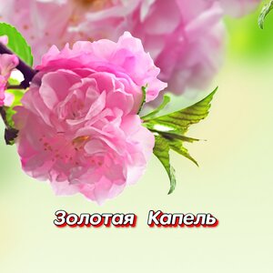 Гравитация - МОЙ ЛАСКОВЫЙ ВЕТЕР