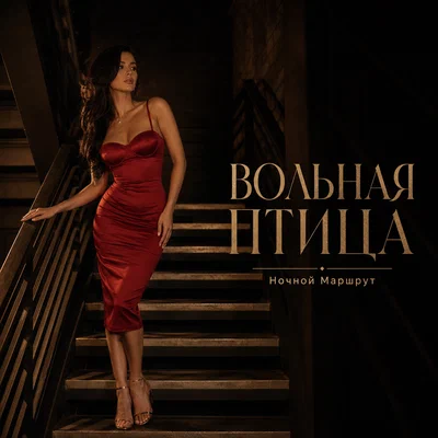 Ночной Маршрут - ВОЛЬНАЯ ПТИЦА